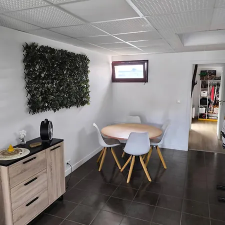 아파트 Grand Plein Centre 4 *